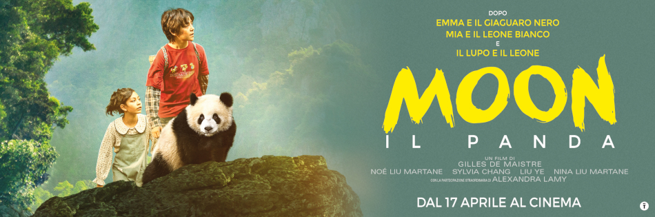 MOON IL PANDA