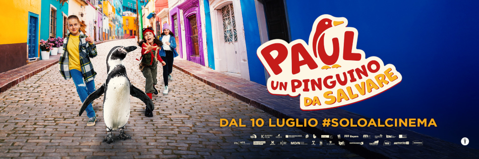PAUL - UN PINGUINO DA SALVARE